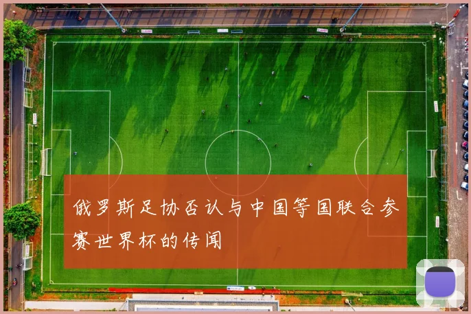 俄罗斯足协否认与中国等国联合参赛世界杯的传闻
